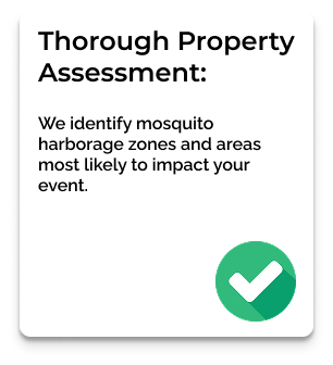 Thorough Property Assessment